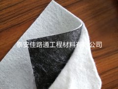 創(chuàng)新守護(hù)，防滲土工膜的全方位保護(hù)策略