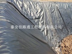 沼氣池防滲膜吹塑工藝：創(chuàng)新之路，守護(hù)綠色能