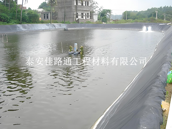 魚蝦養(yǎng)殖防滲膜選黑還是白？掌握這些原則不選