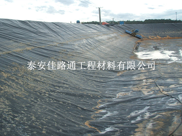 養(yǎng)殖防滲膜怎么選？實(shí)用技巧幫你避坑