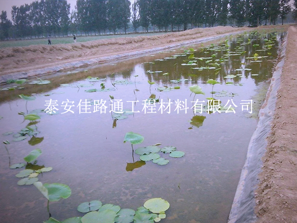 養(yǎng)殖防滲膜施工別大意，這些控制要點要抓實