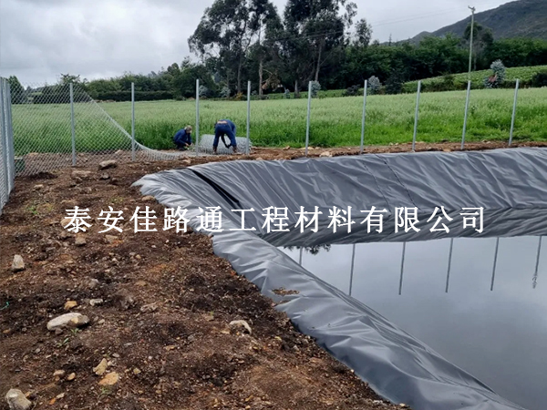 養(yǎng)殖防滲膜在養(yǎng)豬場污水處理中的核心作用：防